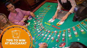 Master the Art of Baccarat on Lotus365: Your Guide to Winning Big