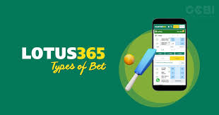 Win Big with Lotus365 Online Betting and Casino Games